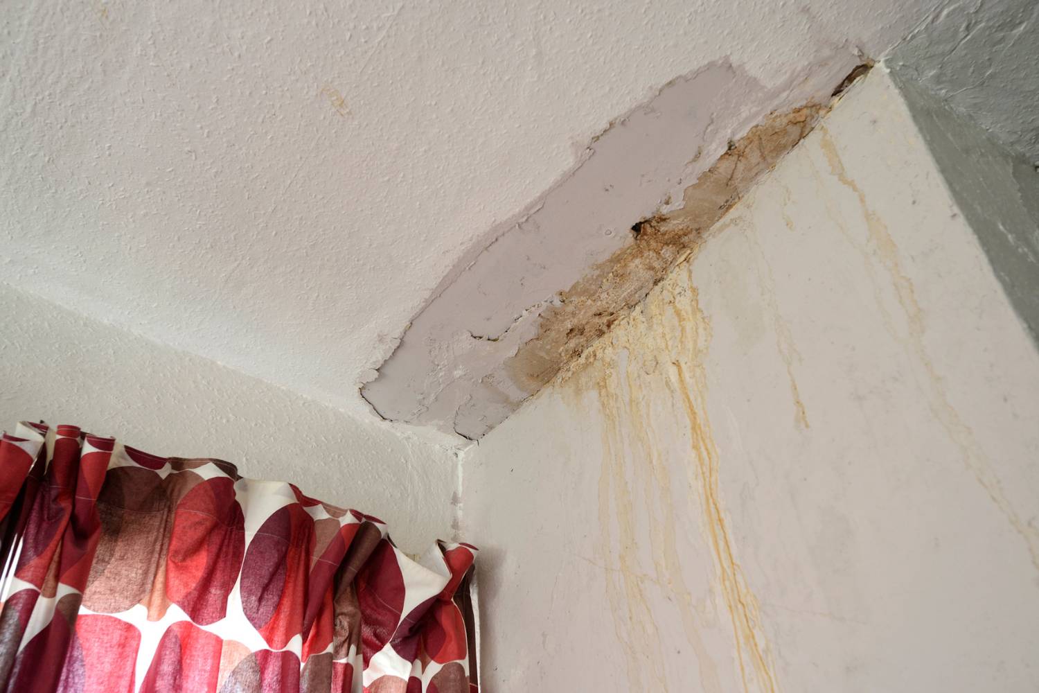 can a roof leak lead to mould growth