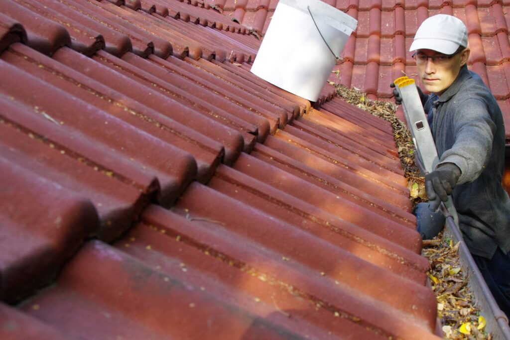 diy roof cleaning