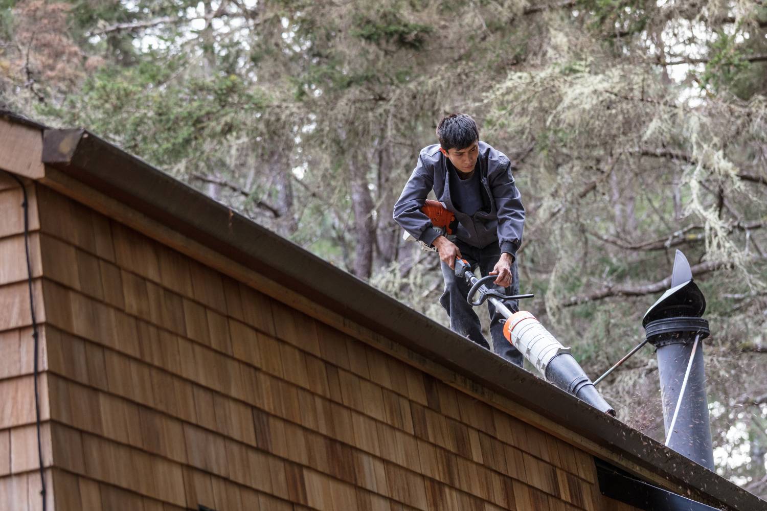 diy roof cleaning 2