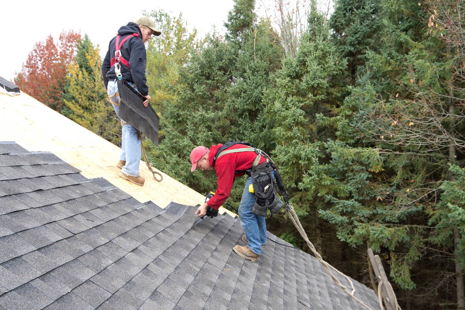 how can regular roof restoration prolong roof longevity 2