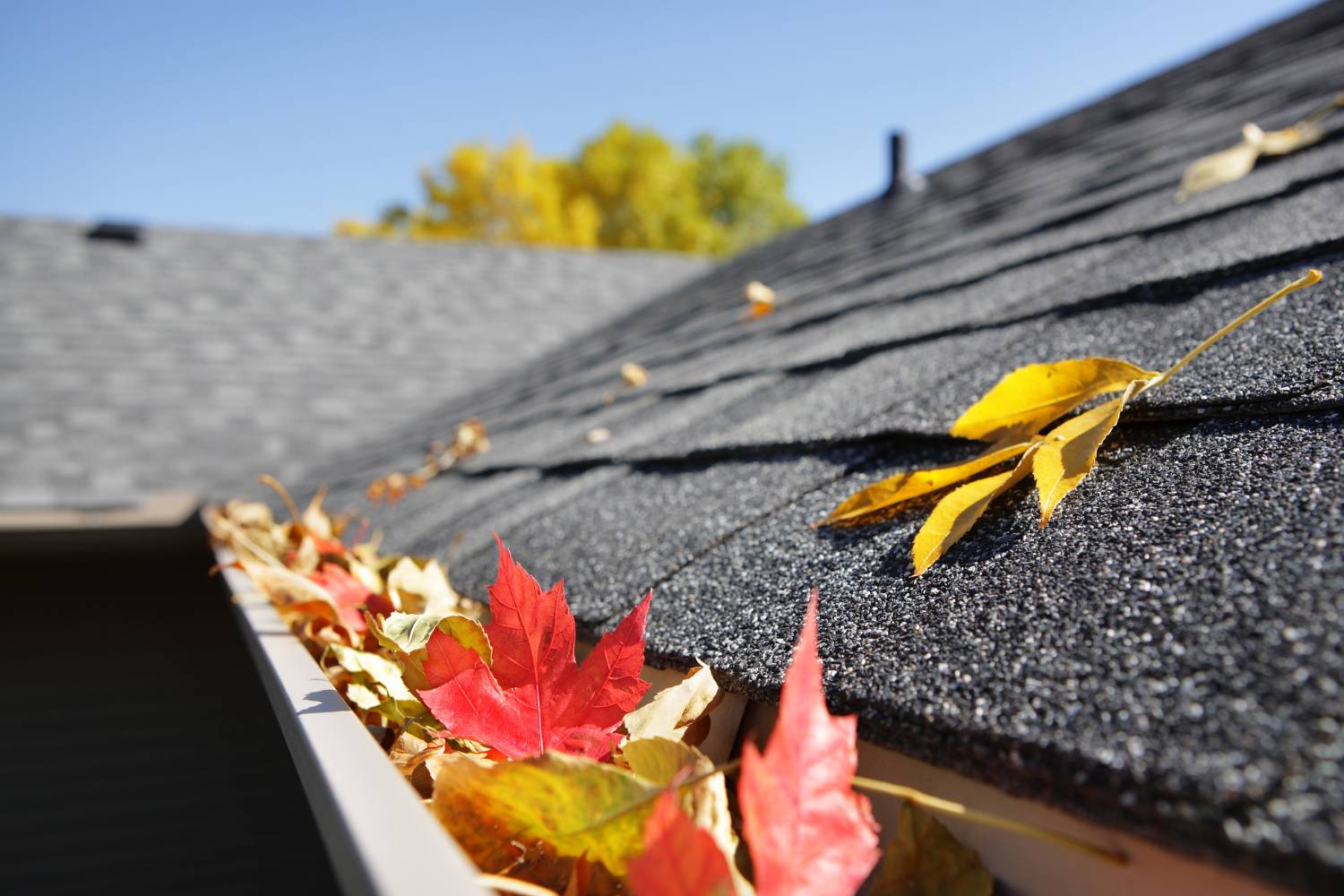 how do i maintain my guttering system 1