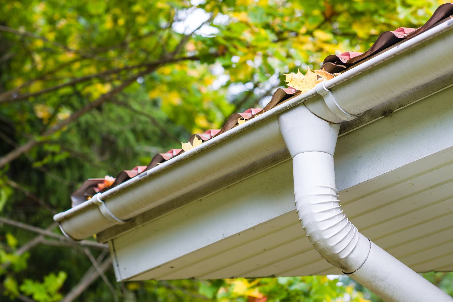 how do i remove leaves from my guttering 1