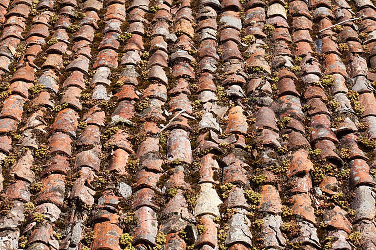 How Do You Clean A Clay Tile Roof3