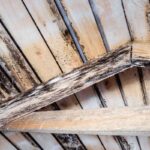 how do you fix rotted timber 3