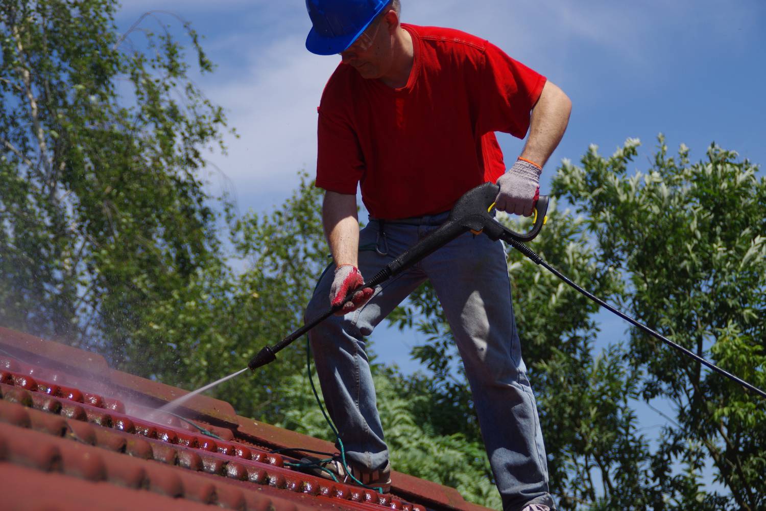 how often should you clean your roof 2