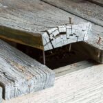 how to prevent wood rot 2