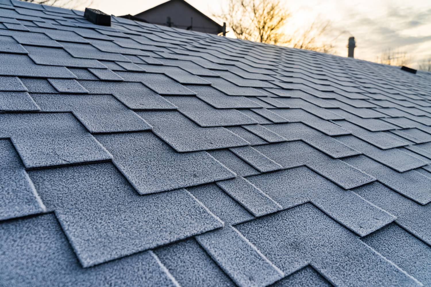 is your roof telling you it needs cleaning 1