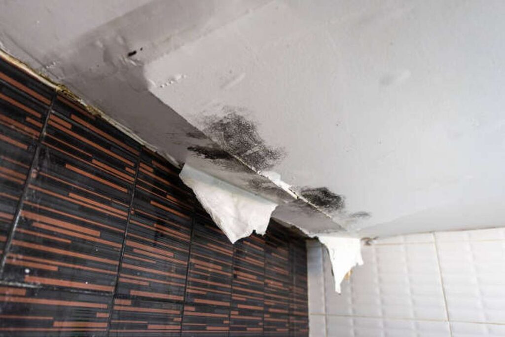 what are the various types of water damage and their health risks 2