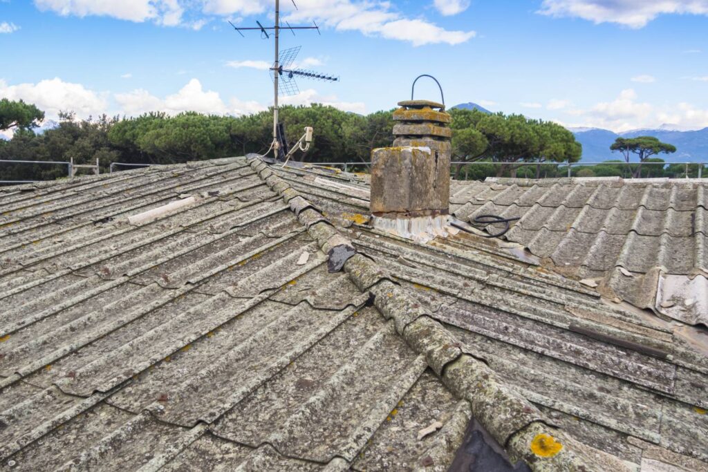 what happens if you ignore roof cleaning