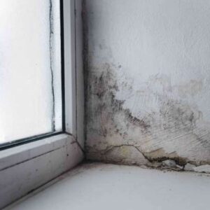 how do i prevent mold in my basement from flooding