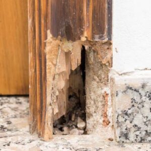 How Do You Fix A Broken Wooden Door Frame