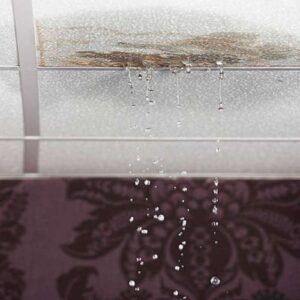 why is water damage dangerous