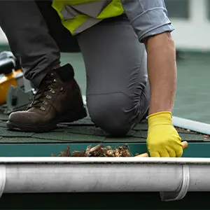 roof cleaning