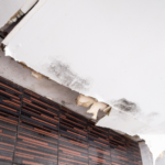 Will A Roof Leak Cause Mould?